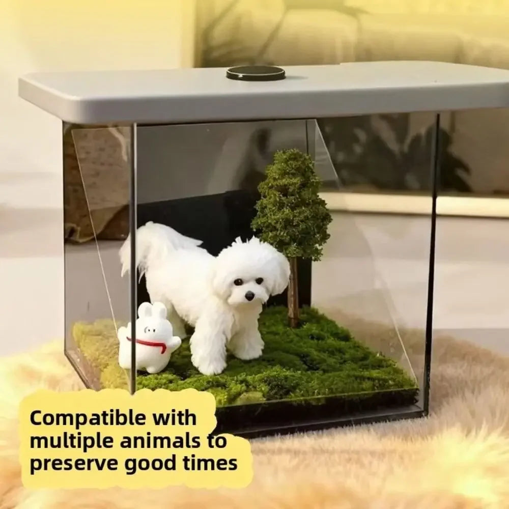 Personalized 3D Pet Holographic Box